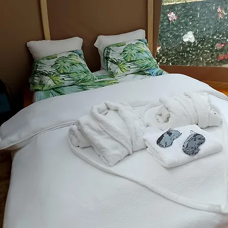 Luxuszelt Glamping Dome